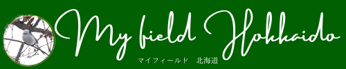 My field Hokkaido